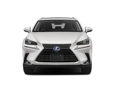2020 Lexus NX 300h