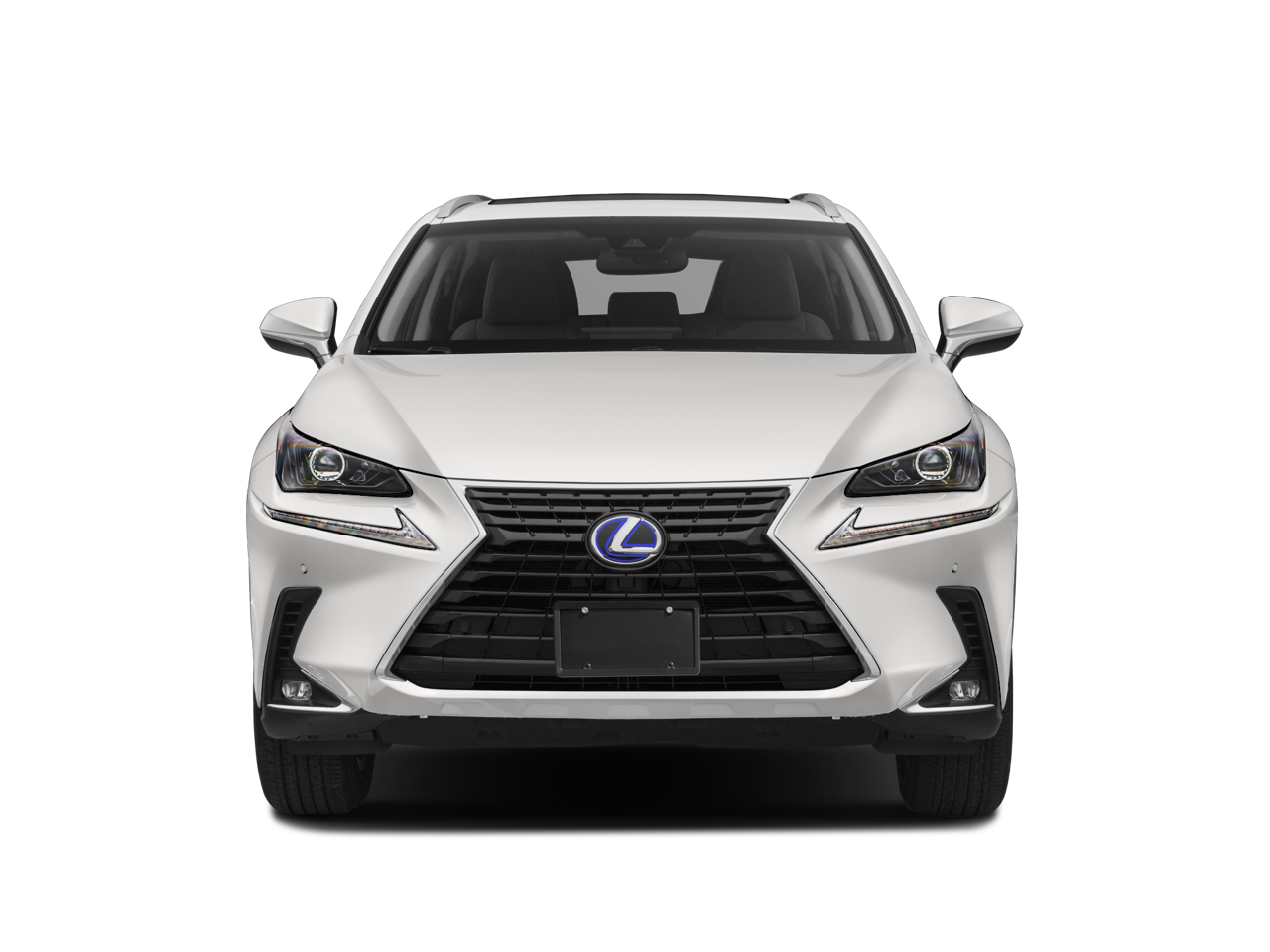 2020 Lexus NX 300h