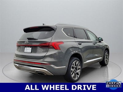 2023 Hyundai Santa Fe Calligraphy