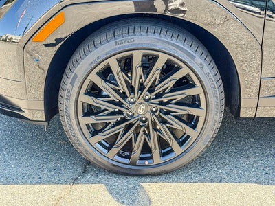 2026 Hyundai Santa Fe Calligraphy AWD