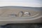 2026 Hyundai Palisade Hybrid SEL Premium 8P