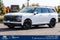 2027 Hyundai Palisade Hybrid Calligraphy Black Ink